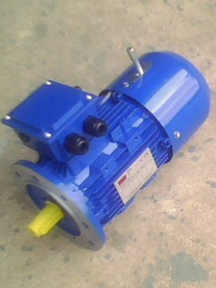 卷簾門(mén)電機(jī)_快速工業(yè)卷簾門(mén)剎車電機(jī)YEJ90L-4 1.5KW 