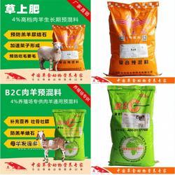 羊吃什么飼料長得快？科學養羊飼料指南